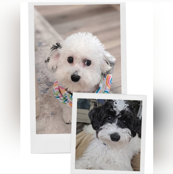 Hello! - Picture 7 of 16